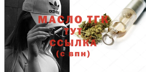 гидра Арсеньев
