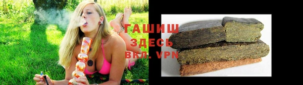 гидра Арсеньев