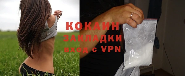 гидра Арсеньев