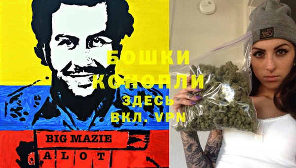 гидра Арсеньев