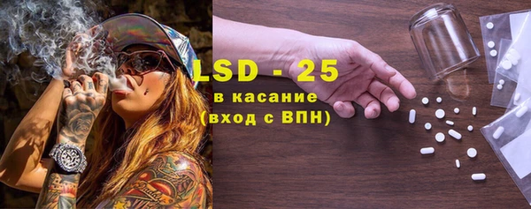 гидра Арсеньев