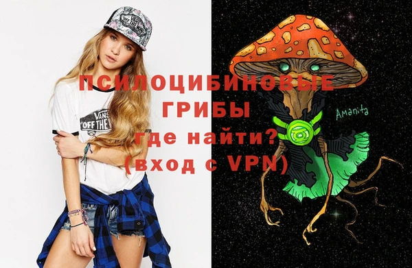 эйфоретик Аркадак
