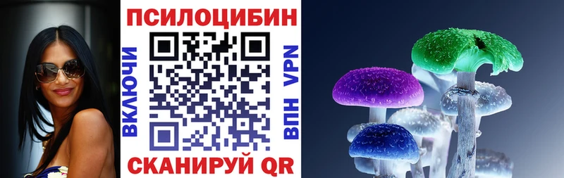 где найти наркотики  Краснослободск  Галлюциногенные грибы мицелий 